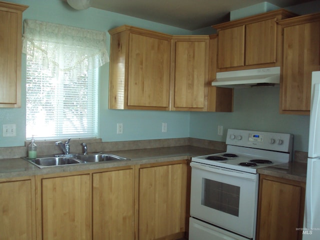 908 Pine St, Lewiston, ID 83501 - kitchen featuring white appliances, under cabinet range hood, a sink, and light countertops