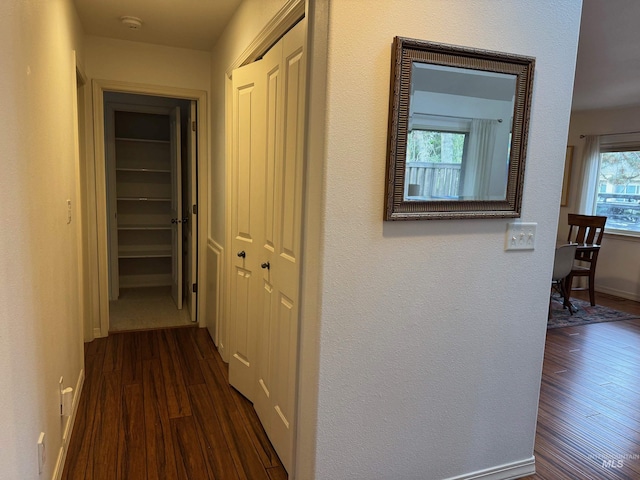 hallway with dark wood-style flooring