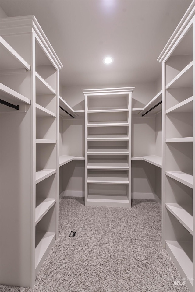 walk in closet featuring carpet