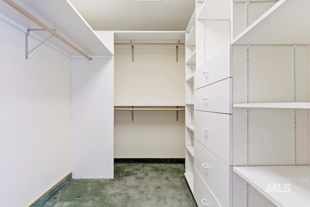 10809 W Cruser, Boise, ID 83709 - walk in closet featuring carpet flooring