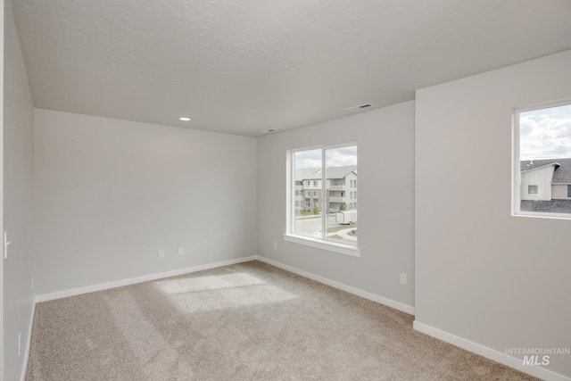 carpeted spare room with a wealth of natural light