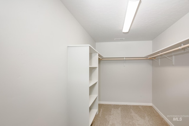 spacious closet with light colored carpet