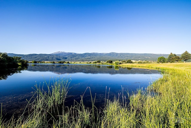 water view featuring a mountain view