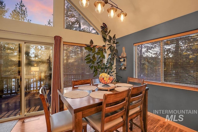 dining area featuring high vaulted ceiling and wood-type flooring