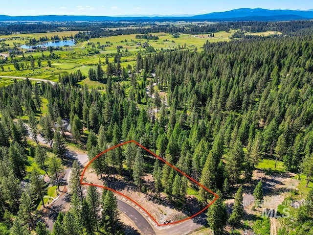 6 York St, Mccall, ID 83638