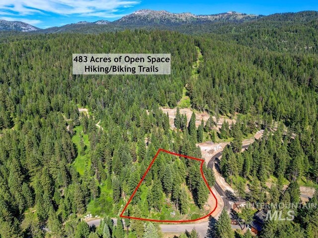 6 York St, Mccall, ID 83638