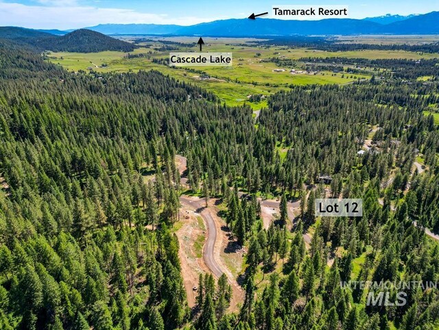6 York St, Mccall, ID 83638