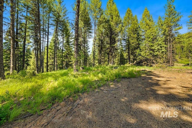 6 York St, Mccall, ID 83638