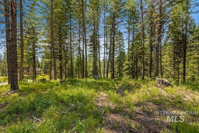 6 York St, Mccall, ID 83638