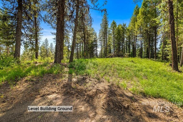 6 York St, Mccall, ID 83638