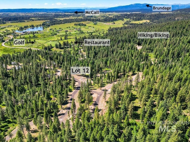 6 York St, Mccall, ID 83638