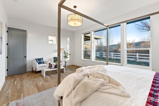 bedroom featuring multiple windows, wood finished floors, and baseboards