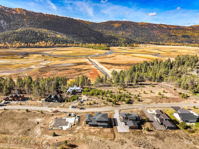 drone / aerial view with a mountain view