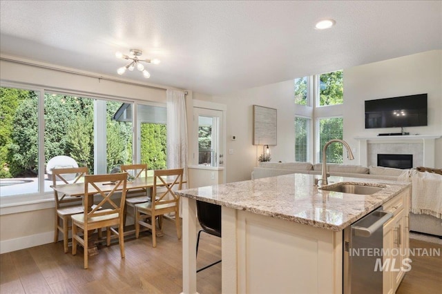 5322 N Papago Pl, Boise, ID 83713 - kitchen featuring a glass covered fireplace, plenty of natural light, open floor plan, and recessed lighting