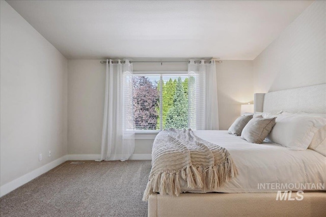 5322 N Papago Pl, Boise, ID 83713 - bedroom with carpet and baseboards