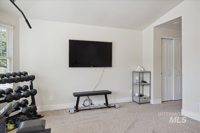 5322 N Papago Pl, Boise, ID 83713 - workout room with carpet floors