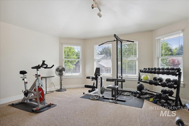 5322 N Papago Pl, Boise, ID 83713 - exercise area featuring track lighting and carpet