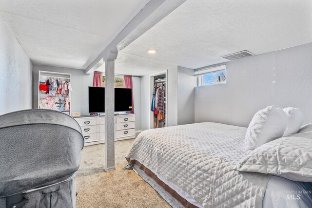 2524 Succor Creek Rd, Homedale, ID 83628 - bedroom with light colored carpet, a walk in closet, a textured ceiling, and a closet