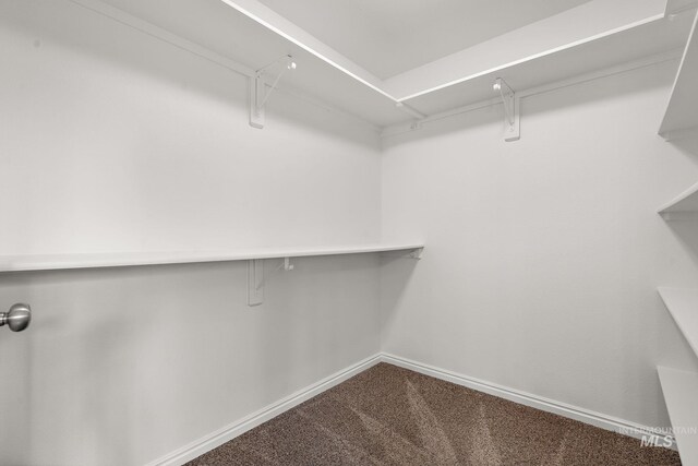 1452 E Pistioa, Meridian, ID 83642 - walk in closet featuring carpet