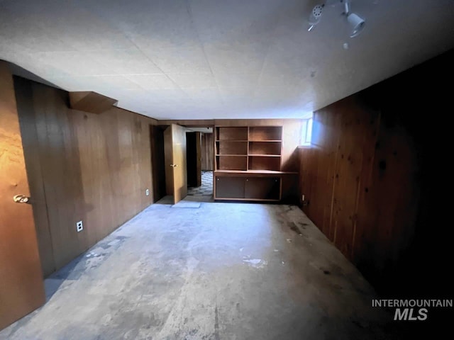 basement with wooden walls