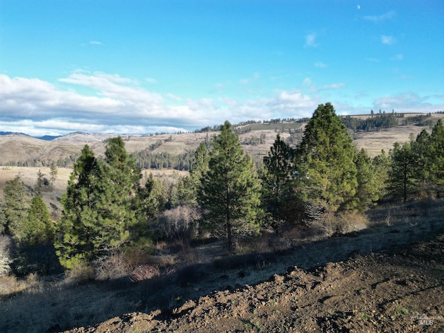 TBD Canyon Rd, Kooskia ID, 83539 land for sale