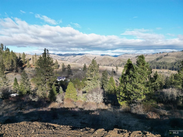 Listing photo 2 for TBD Canyon Rd, Kooskia ID 83539