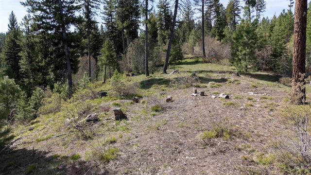 TBD N Ballantyne, Cascade, ID 83616