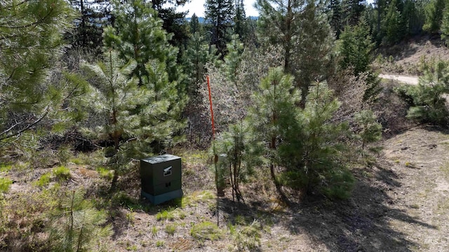 TBD N Ballantyne, Cascade, ID 83616