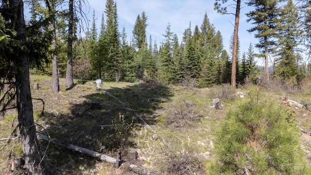 TBD N Ballantyne, Cascade, ID 83616