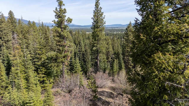 TBD N Ballantyne, Cascade, ID 83616