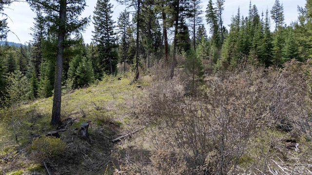TBD N Ballantyne, Cascade, ID 83616