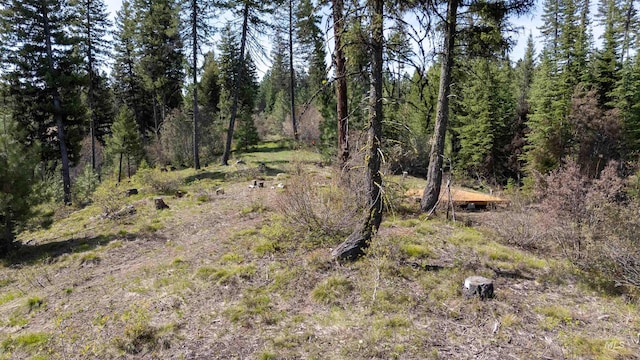 TBD N Ballantyne, Cascade, ID 83616