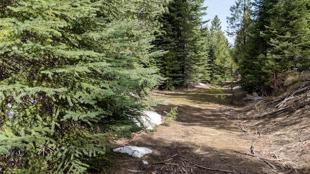TBD N Ballantyne, Cascade, ID 83616