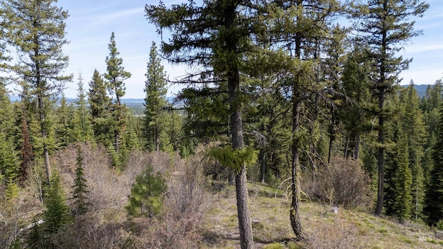 TBD N Ballantyne, Cascade, ID 83616