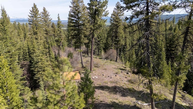TBD N Ballantyne, Cascade, ID 83616