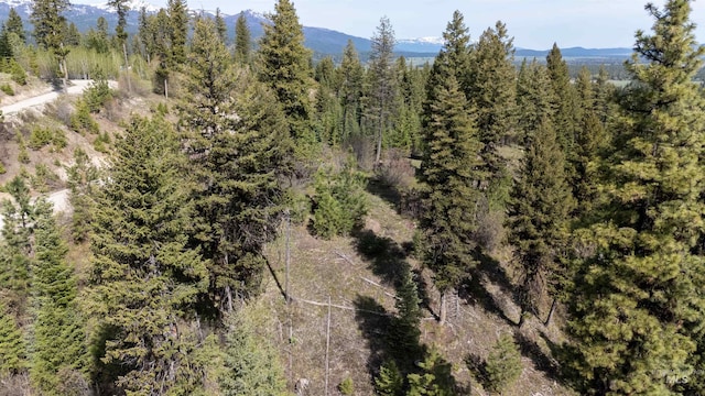 TBD N Ballantyne, Cascade, ID 83616