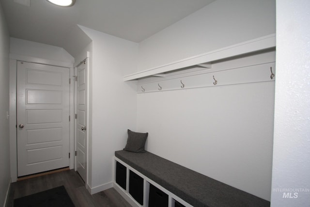 mudroom featuring dark wood-type flooring