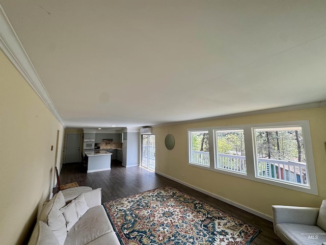 250 Hill Rd, Orofino, ID 83543 - living area featuring crown molding, dark wood finished floors, and baseboards