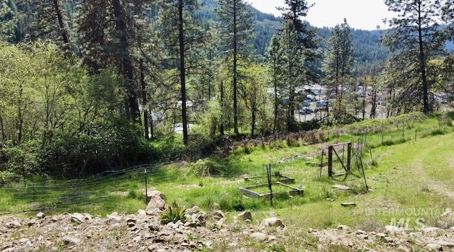 250 Hill Rd, Orofino, ID 83543 - view of local wilderness with a view of trees
