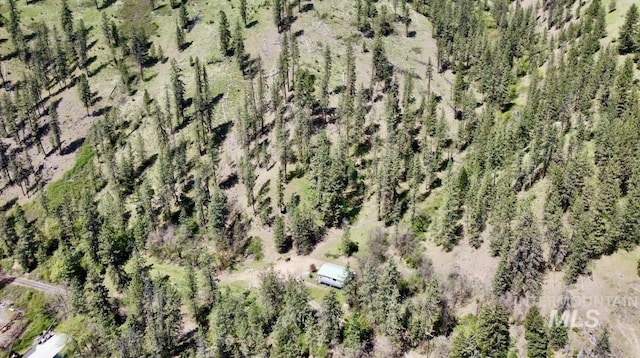250 Hill Rd, Orofino, ID 83543 - aerial view