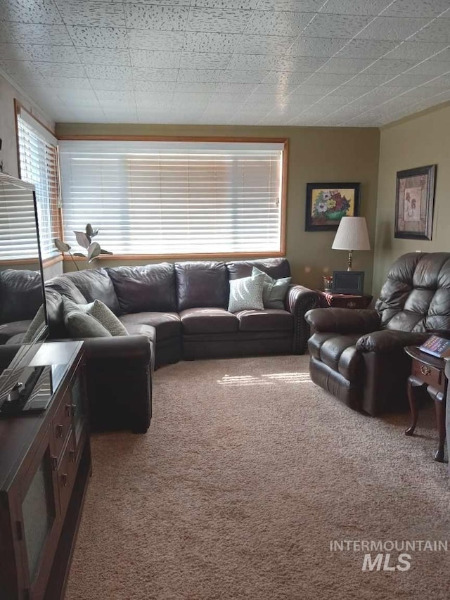 living area featuring carpet flooring