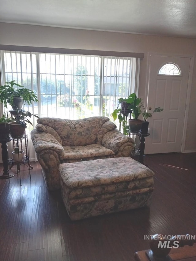 living room with hardwood / wood-style floors