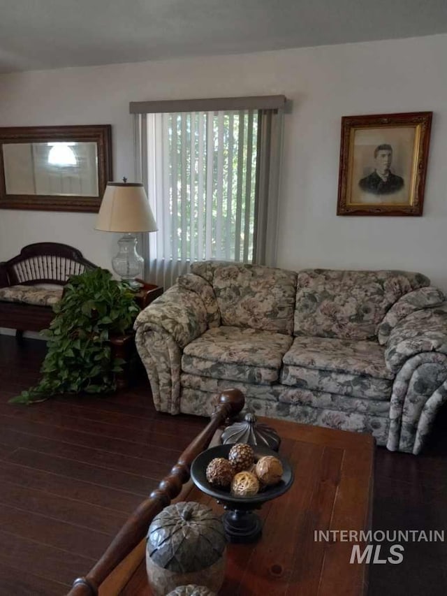 living room featuring wood finished floors