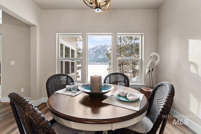 dining space with a notable chandelier and hardwood / wood-style flooring