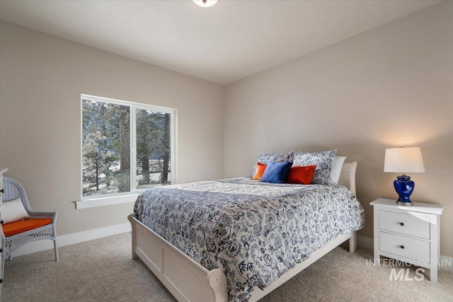 bedroom featuring carpet