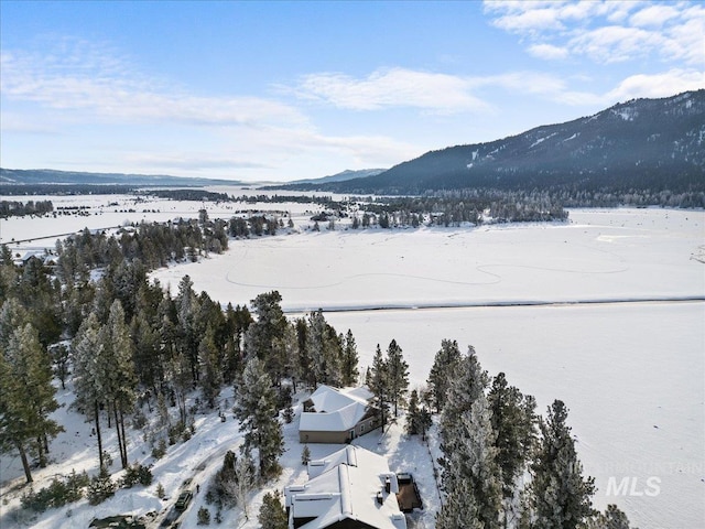 snowy aerial view with a mountain view