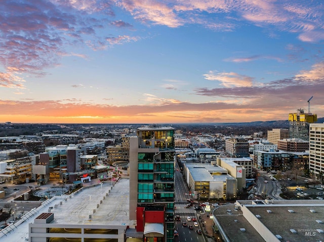 851 Front St Unit 1701, Boise, ID 83702 - view of city
