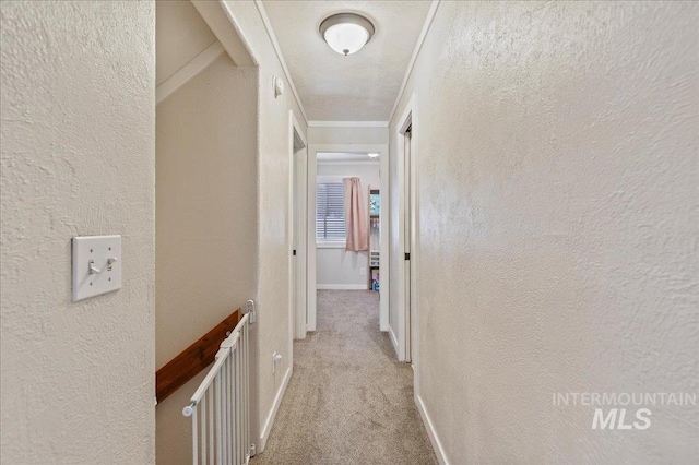 hall featuring radiator, light colored carpet, a textured wall, and baseboards