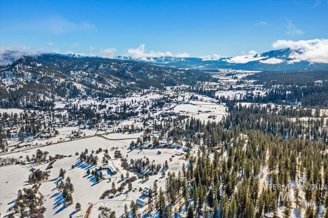 snowy aerial view with a mountain view