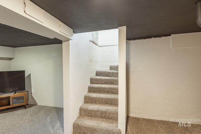 stairway with carpet flooring